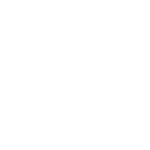 icon valores