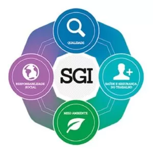 img sgi 2